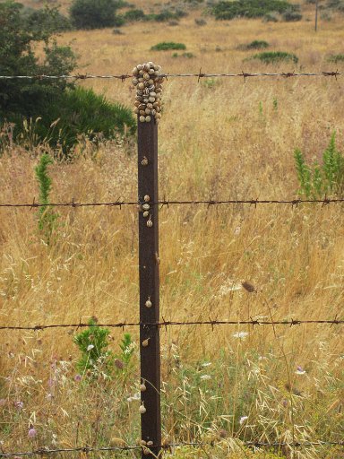 Rio-de-la-Miel (1).JPG